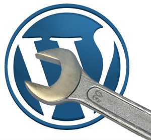 Install WordPress With Free Hosting using custom domain