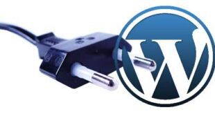 WordPress Plugins that Must Use