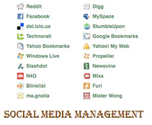Software For Social Media Management