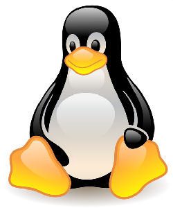 Switching To Linux OS From Windows