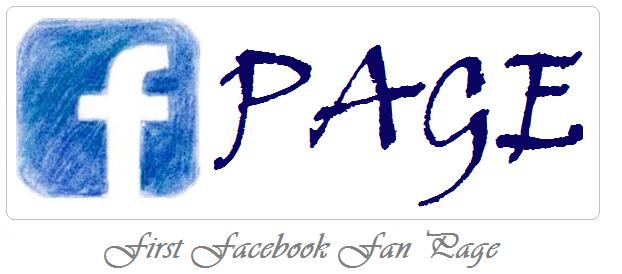 How To Create Your First Facebook Fan Page