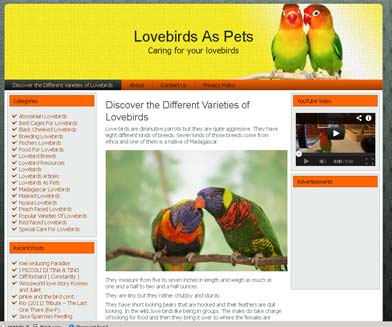 Lovebirds WordPress Theme