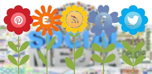 Social Media Can Increase Your Blog Growth