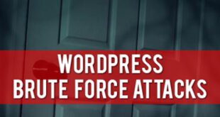 WordPress Brute Force Attack